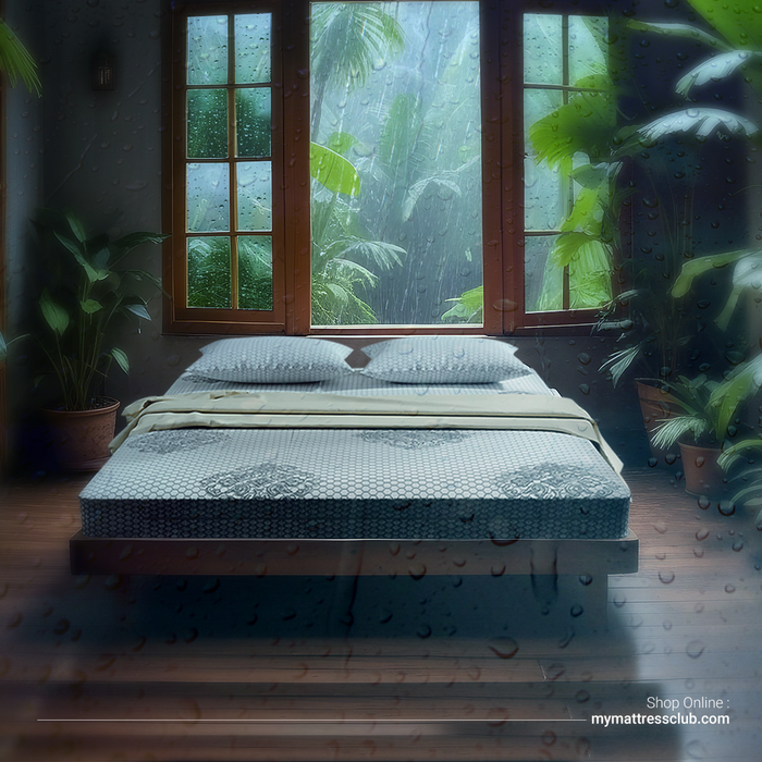 Protect Your Mattress from Humidity This Monsoon - Mattress Club