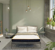 Spine Care Orthopedic Mattress | Mattress for Cervical Pain